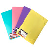 Folder, Plástico con Ligas, Tam. 23.5 cm x 33.5 cm (Oficio/Legal).  4 Colores Pastel Surtidos. Unidad.